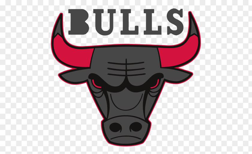 Chicago Bulls Game United Center Detroit Pistons At Vs. Charlotte Hornets 2018–19 NBA Season PNG