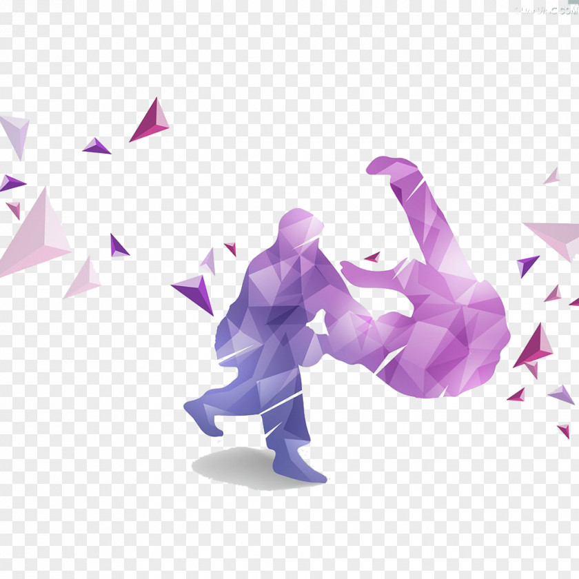 Judo Illustrations PNG