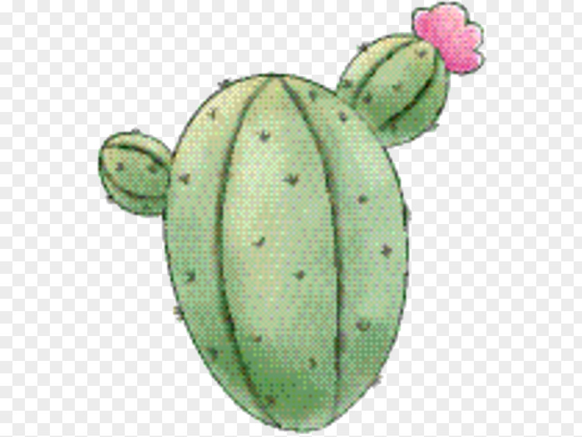 Leaf Plant Cactus Cartoon PNG