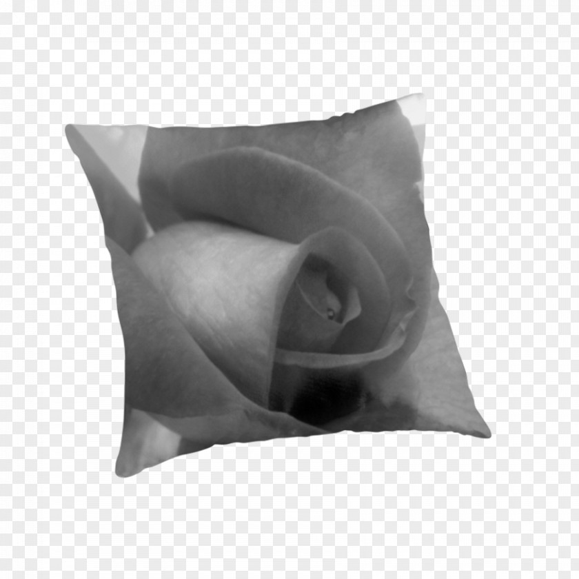 Pillow Throw Pillows Cushion White PNG