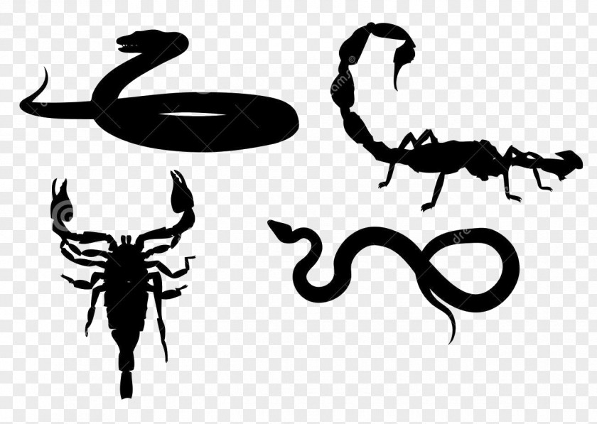 Scorpio Scorpion Signs Of The Zodiac: Royalty-free PNG