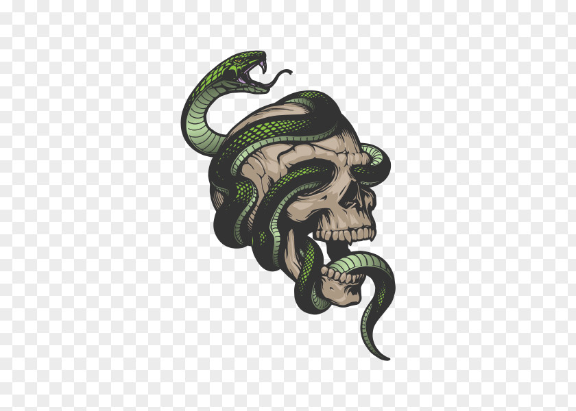 Snake Skeleton Skull Drawing PNG