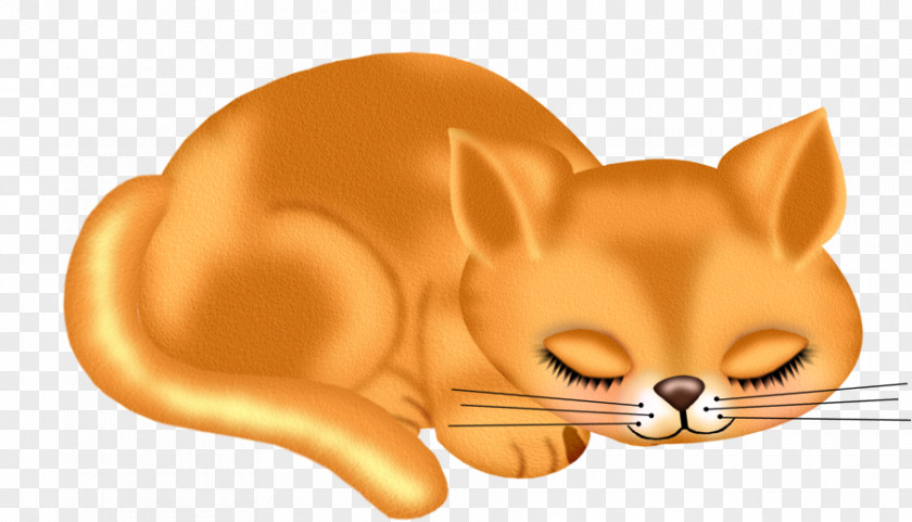 Brown Cat Kitten PNG