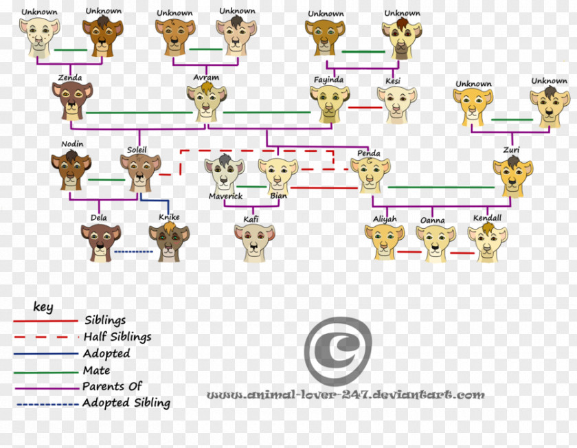 Offspring Family Tree Animal Child Drawing PNG