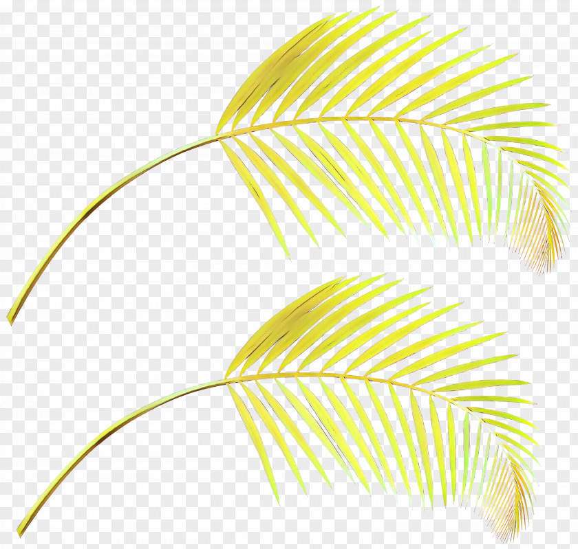 Plant Yellow Leaf Line Clip Art PNG