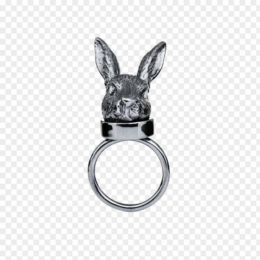 Rabbit On The Moon Jewellery Gold Ring Silver PNG
