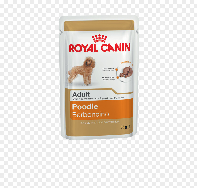 Royal Canin Poodle Cat Food Dog PNG
