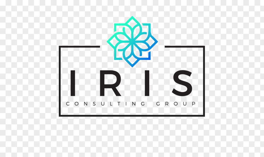 Business Consultant Management Consulting Firm Service PNG