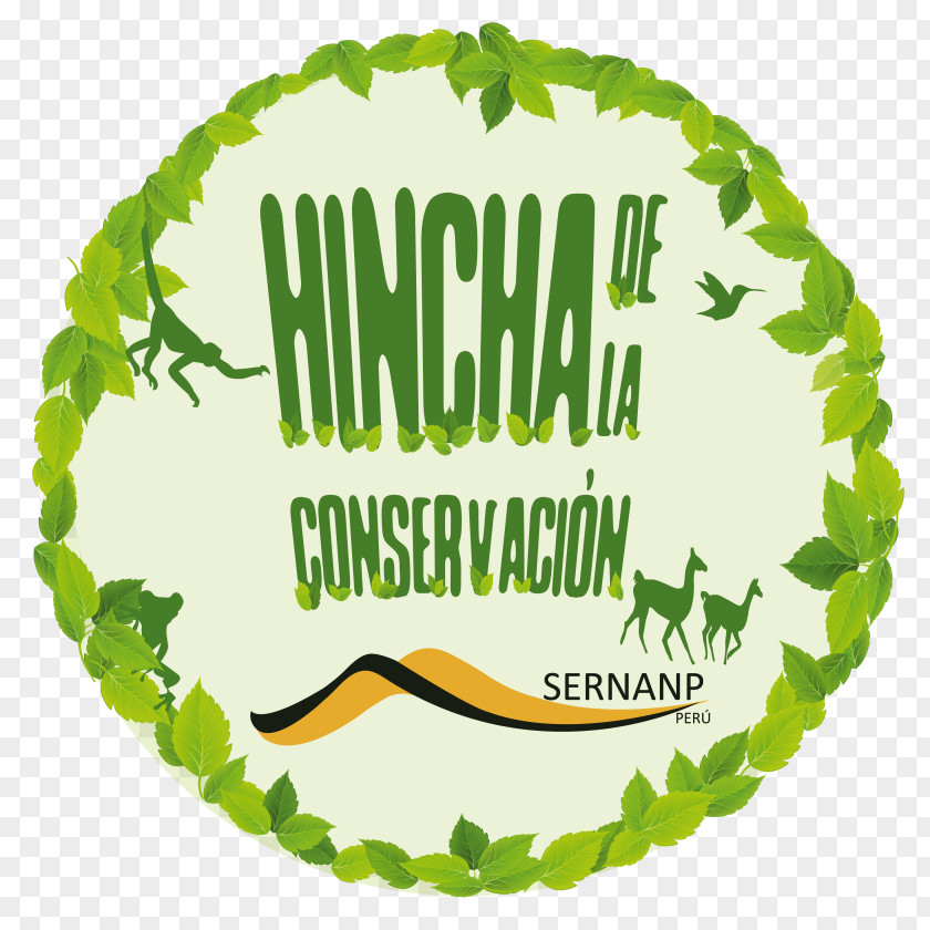 Hincha Conservation Protected Area Servicio Nacional De Áreas Naturales Protegidas Por El Estado Supporters' Groups Nature PNG