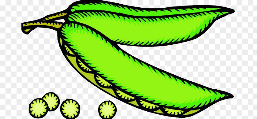 Pea Vegetable Food Clip Art PNG