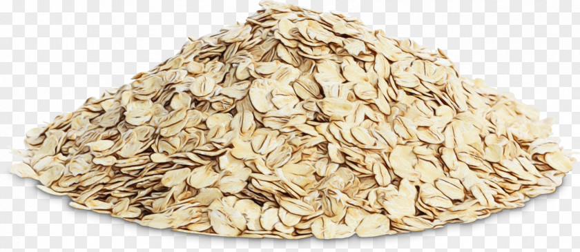 Seed Plant Oat Bran Cereal Food Rolled Oats PNG