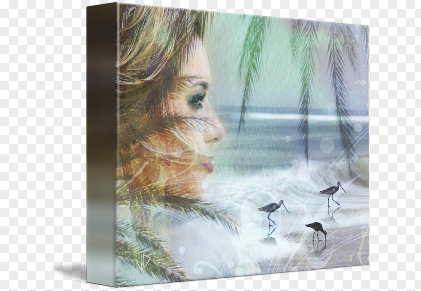 Beach Scene Watercolor Painting Picture Frames PNG