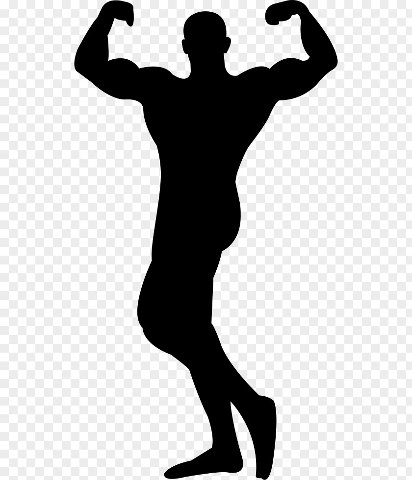 Bodybuilding Female Silhouette Clip Art PNG