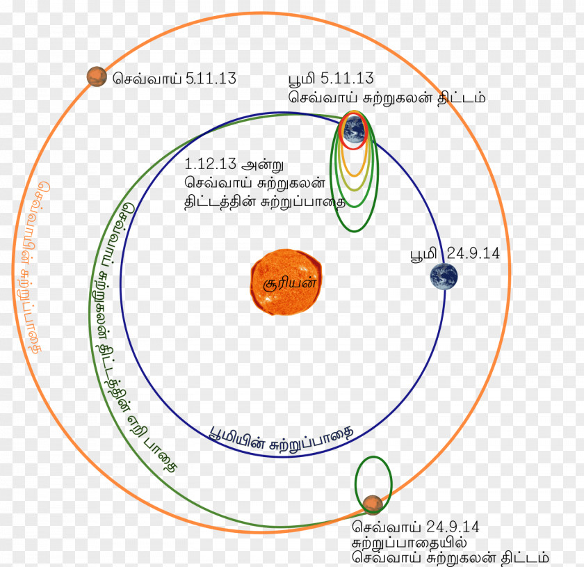 Circle Graphics Diagram Point Organism PNG