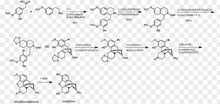 Document Total Synthesis Of Morphine And Related Alkaloids Wikipedia PNG