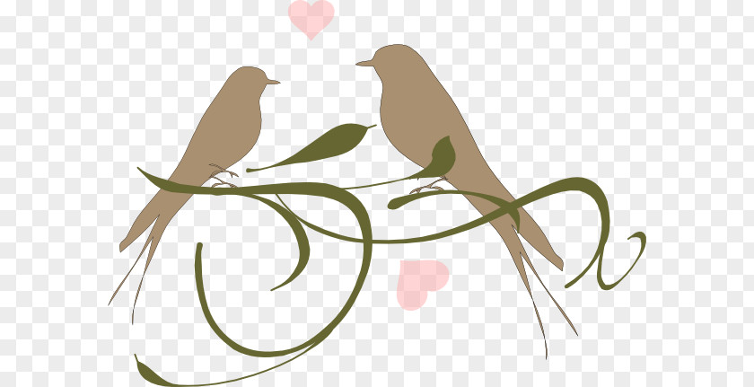 Love Birds Bridal Shower Lovebird Clip Art Vertebrate PNG