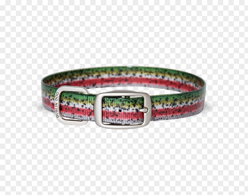 Rainbow Trout Dog Collar Pet PNG