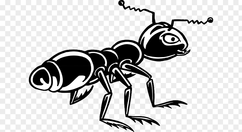 Semut Ant Clip Art PNG