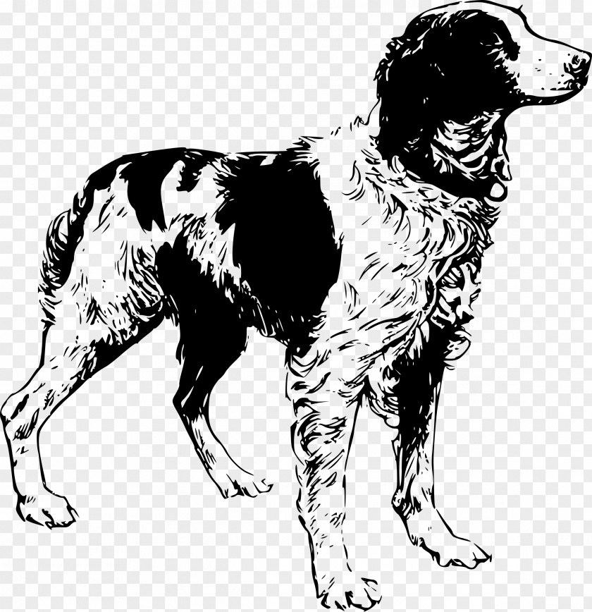 Dog Sketch Brittany Clumber Spaniel Clip Art PNG