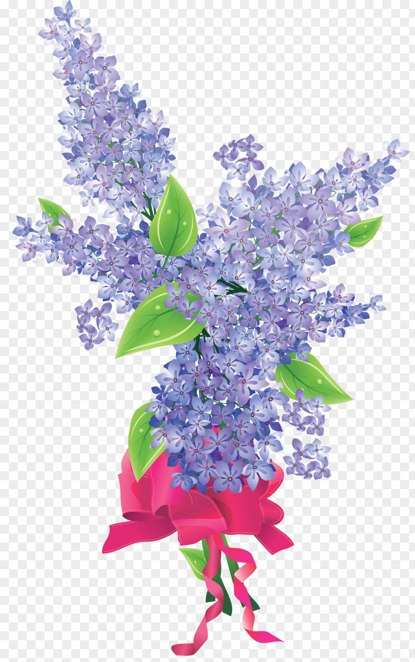 Lilac Flower Lavender PNG