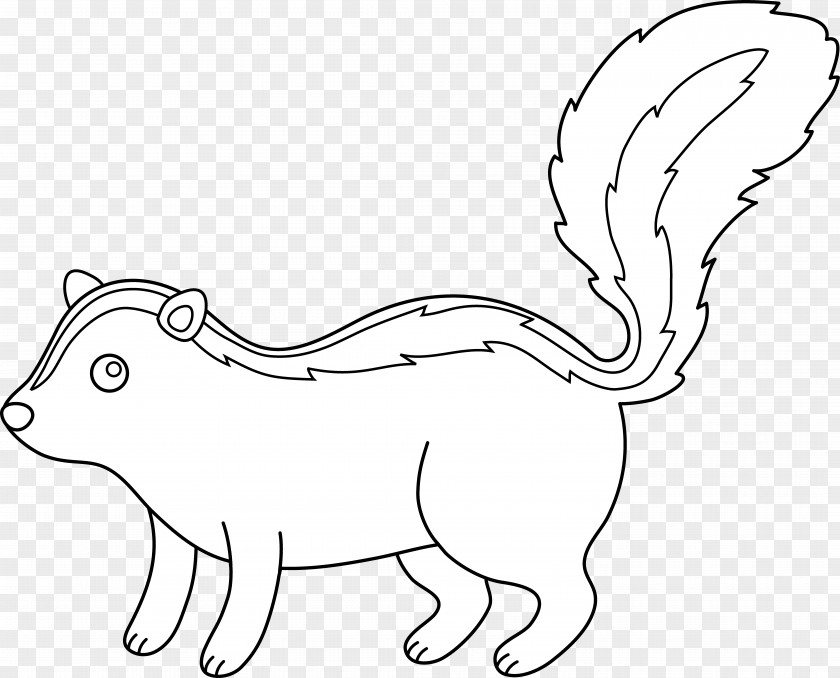 Skunk Cliparts Drawing Black And White Clip Art PNG