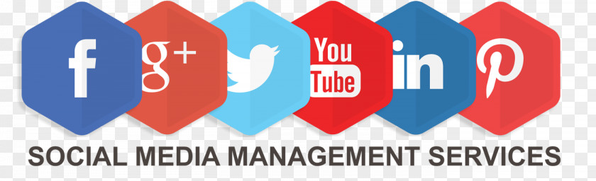 Social Media Marketing Management PNG