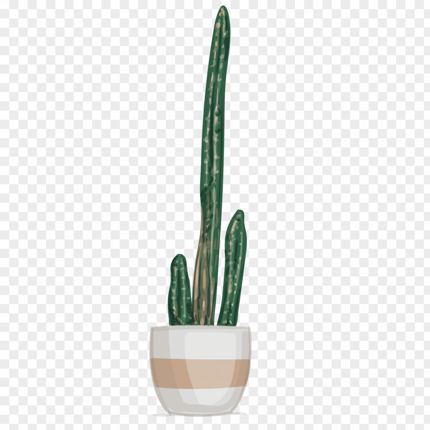 Vector Cactus Cactaceae Plant PNG