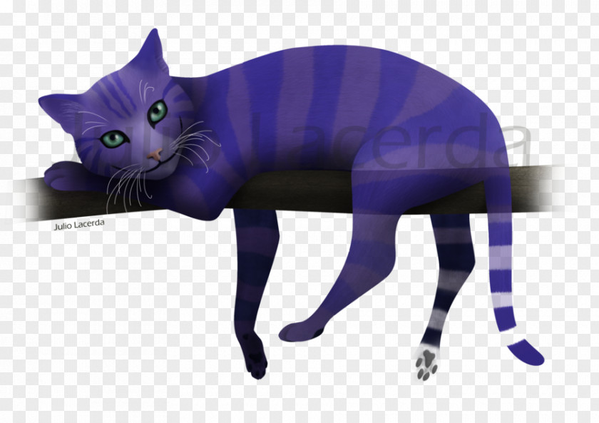 Cheshire Cat Korat Whiskers Kitten Black PNG