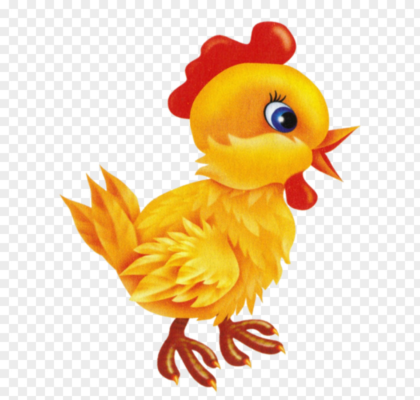 Chicken Rooster Duck PNG