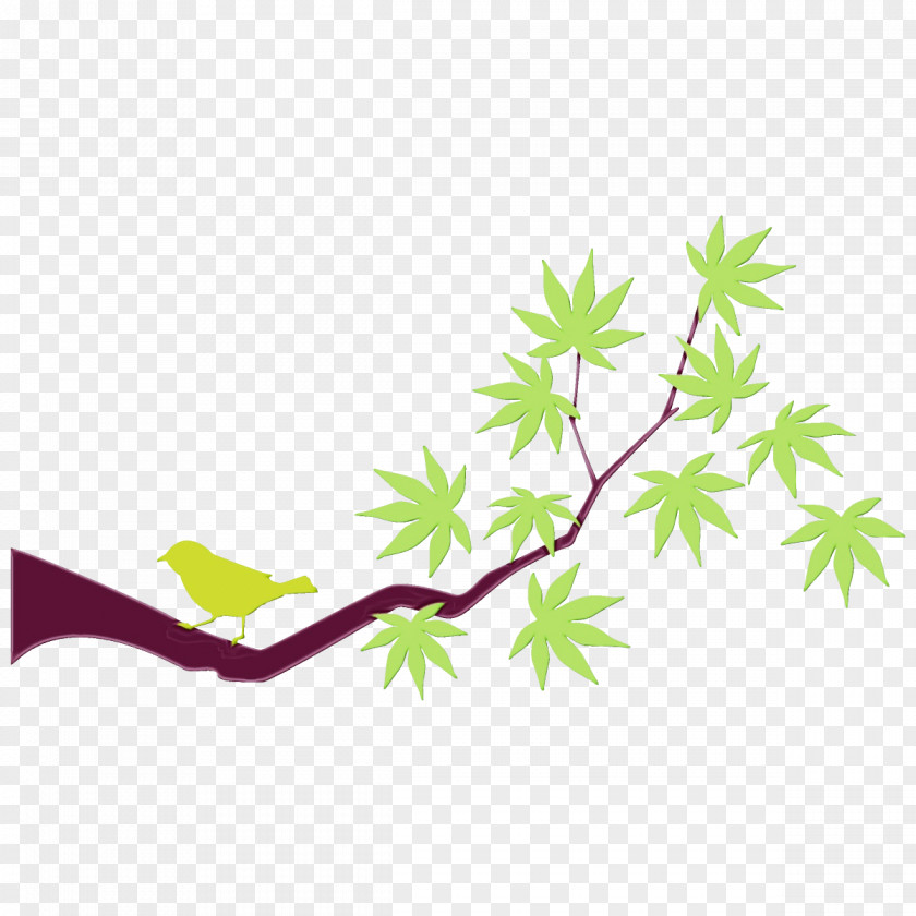 Flower Plant Stem Leaf Branch PNG