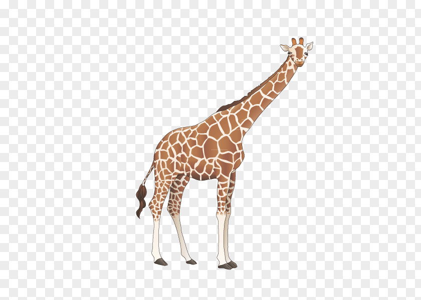 Giraffe Cartoon Vector Material PNG