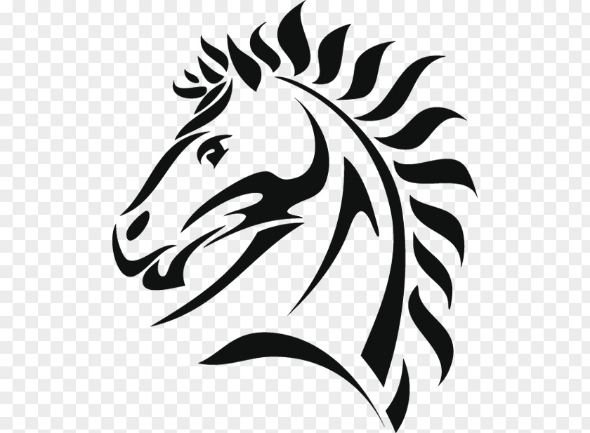 Horse Tattoo Stallion PNG