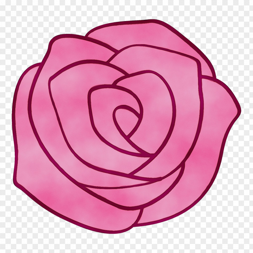 Hybrid Tea Rose Plant Garden Roses PNG