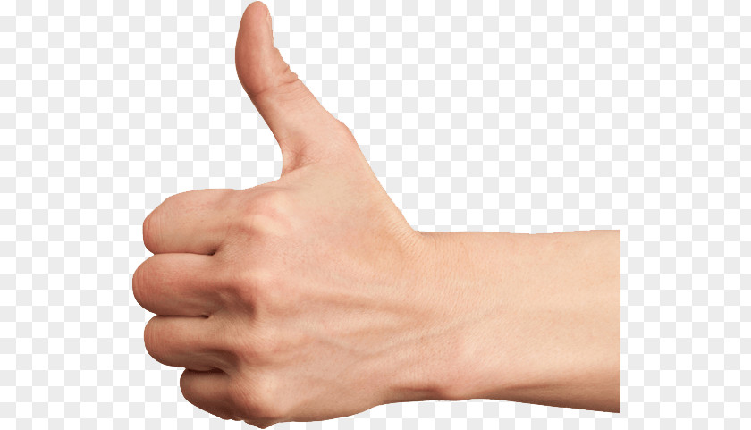 Isolated Thumb Up Finger PNG Finger, person's hand in thumb up gesture clipart PNG