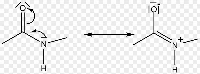 Liaison Peptide Bond Resonance Chemical Information PNG