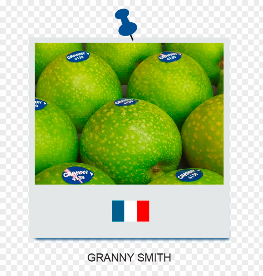 Lime Persian Iranian Cuisine Desktop Wallpaper Granny Smith PNG