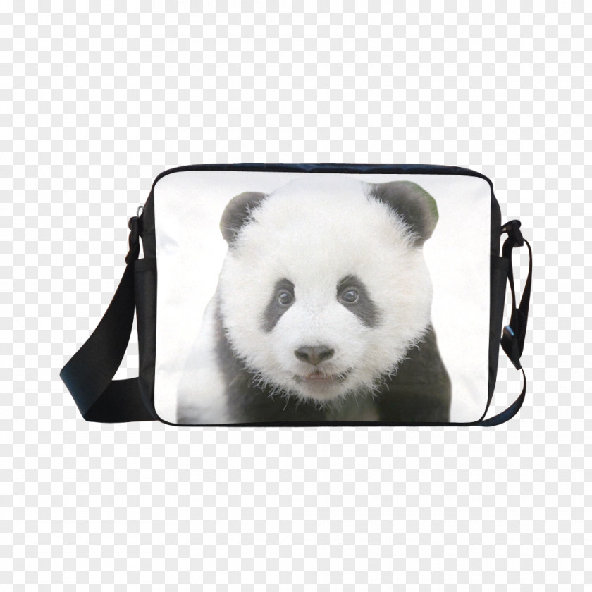 Nylon Bag Giant Panda Bear Cushion T-shirt Throw Pillows PNG