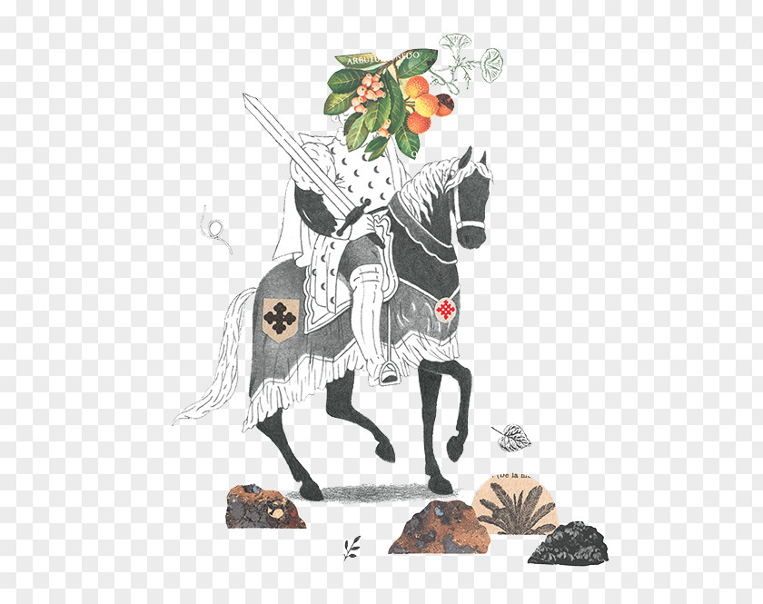 Begonia Fruit Knight FIG Face Don Quixote Illustration PNG