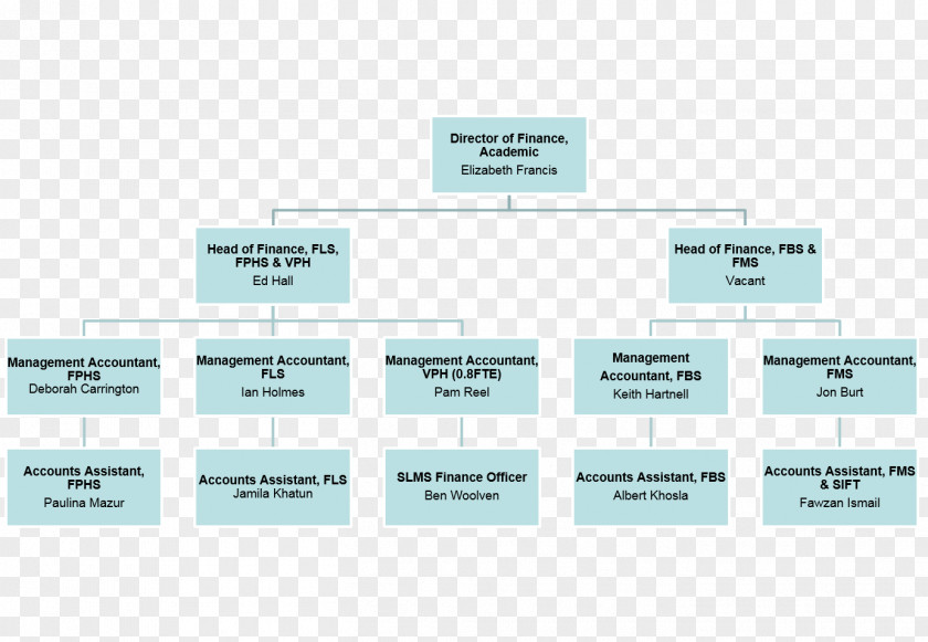 Business Organizational Chart Diagram PNG