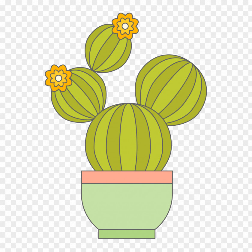 Cactus Material Cactaceae Euclidean Vector Drawing PNG