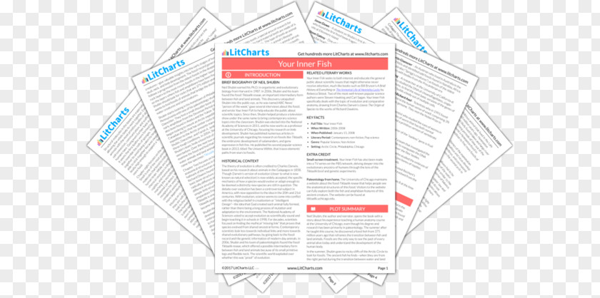 Charles Darwin Animals He Studied Macbeth Act SparkNotes Litcharts LLC Hamlet PNG