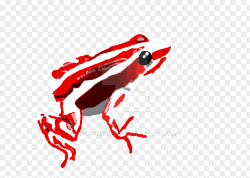 Frog Clip Art Illustration The Blood Line PNG