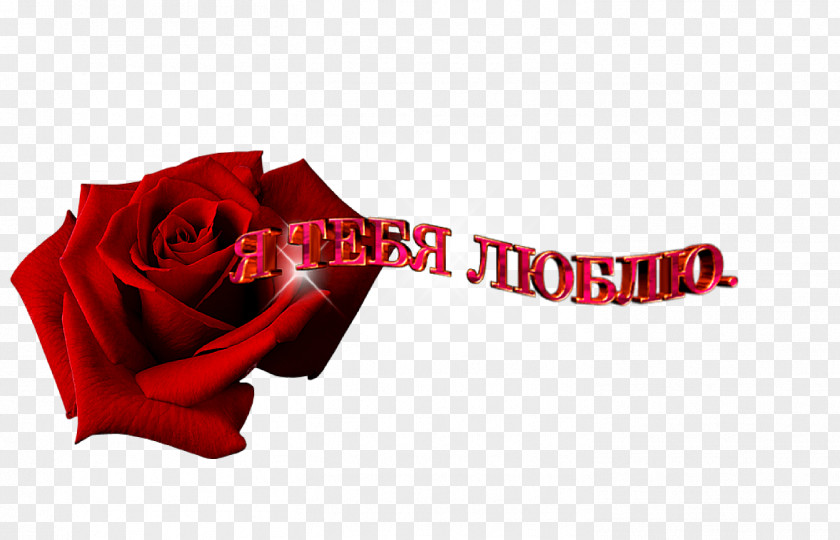 спасибо Garden Roses World Wide Web Android Application Package PNG