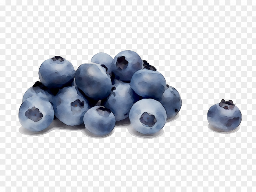 Highbush Blueberry Bilberry Huckleberry PNG