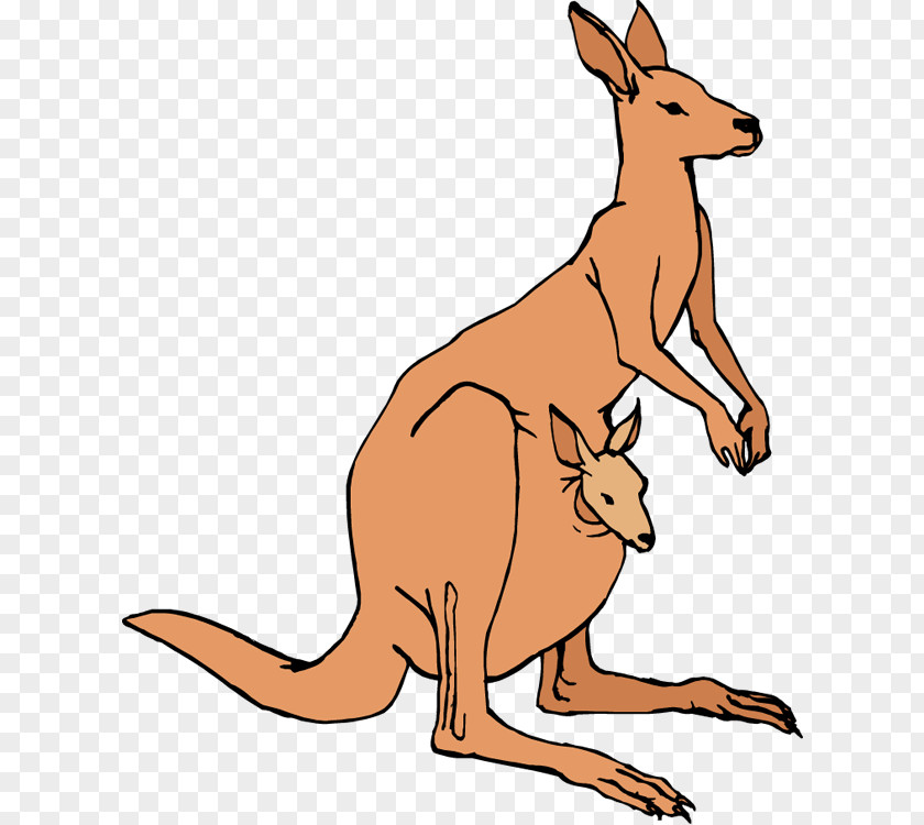 Hopped Cliparts Australia Kangaroo Clip Art PNG