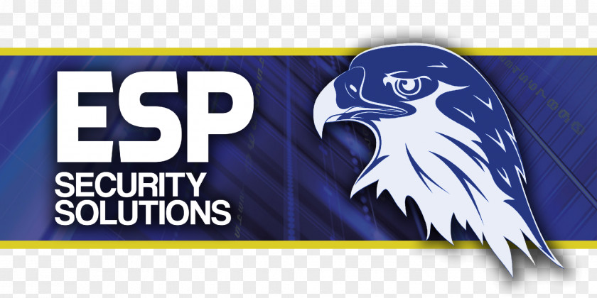 Logo Banner Brand PNG