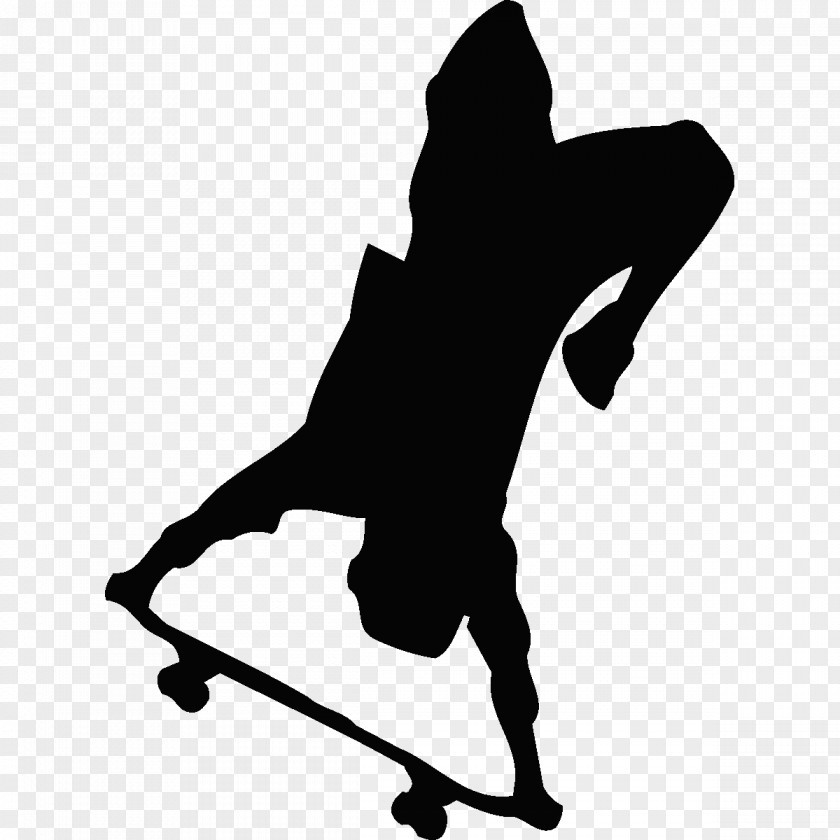 Skater Silhouette Skateboarding Extreme Sport Ice Skating PNG