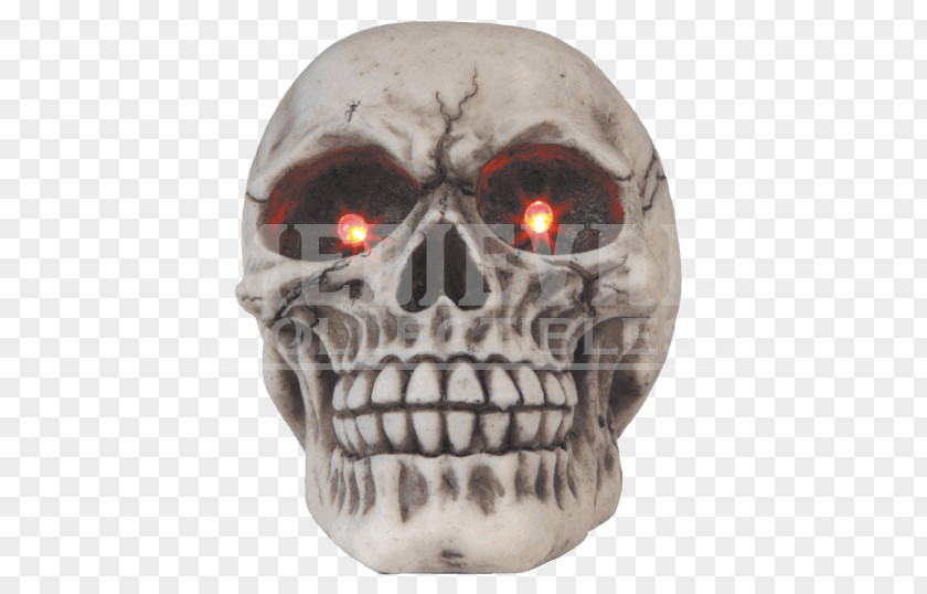 Skull 0 Head Figurine PNG