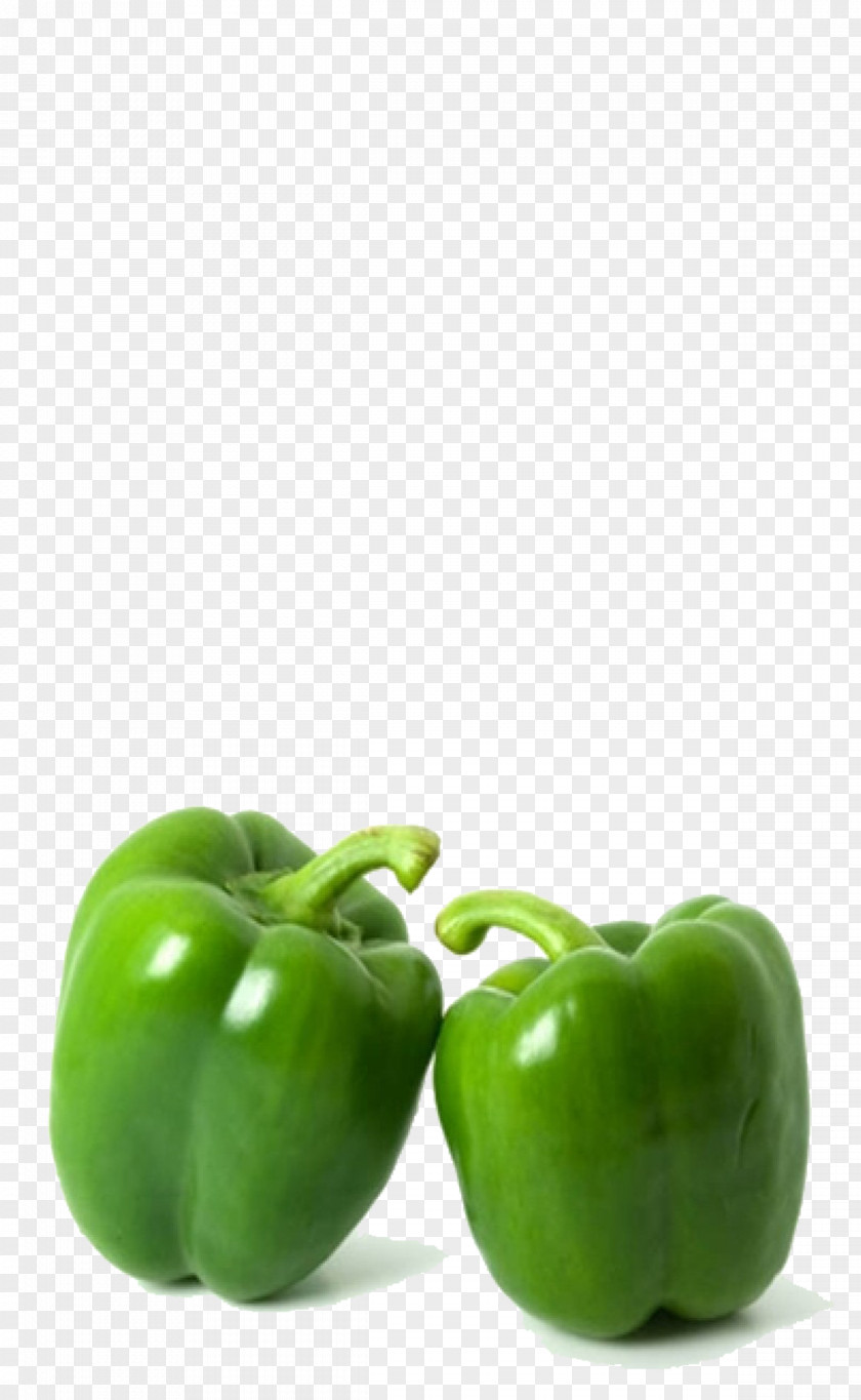 Vegetable Shimla Chili Pepper Salsa Bell PNG
