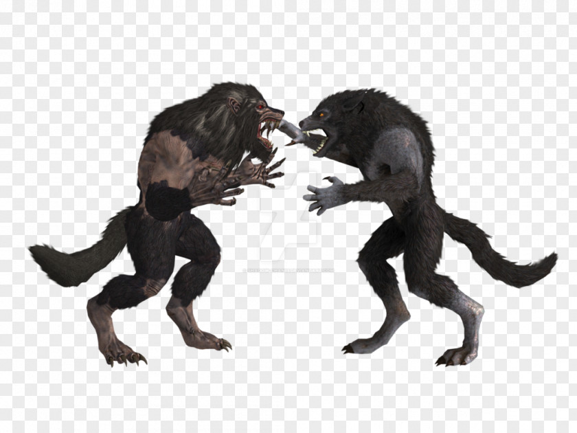 Werewolf The Elder Scrolls V: Skyrim Minecraft Nexus Mods PNG